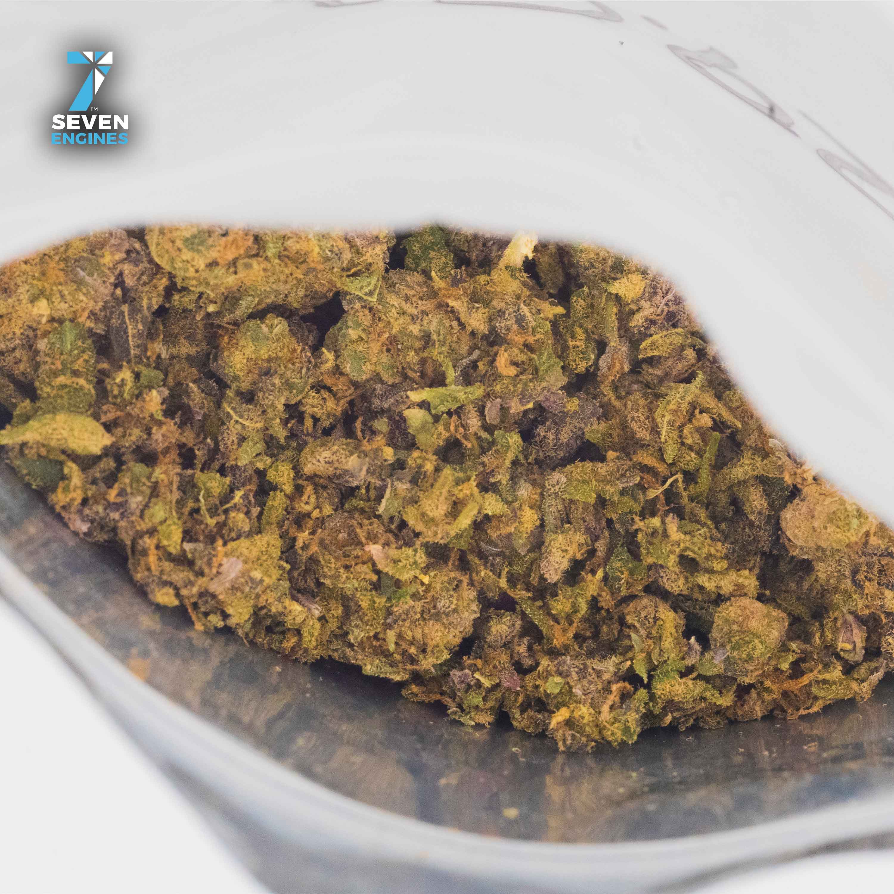 REC | BIO-STAR | SHAKE 5.5G