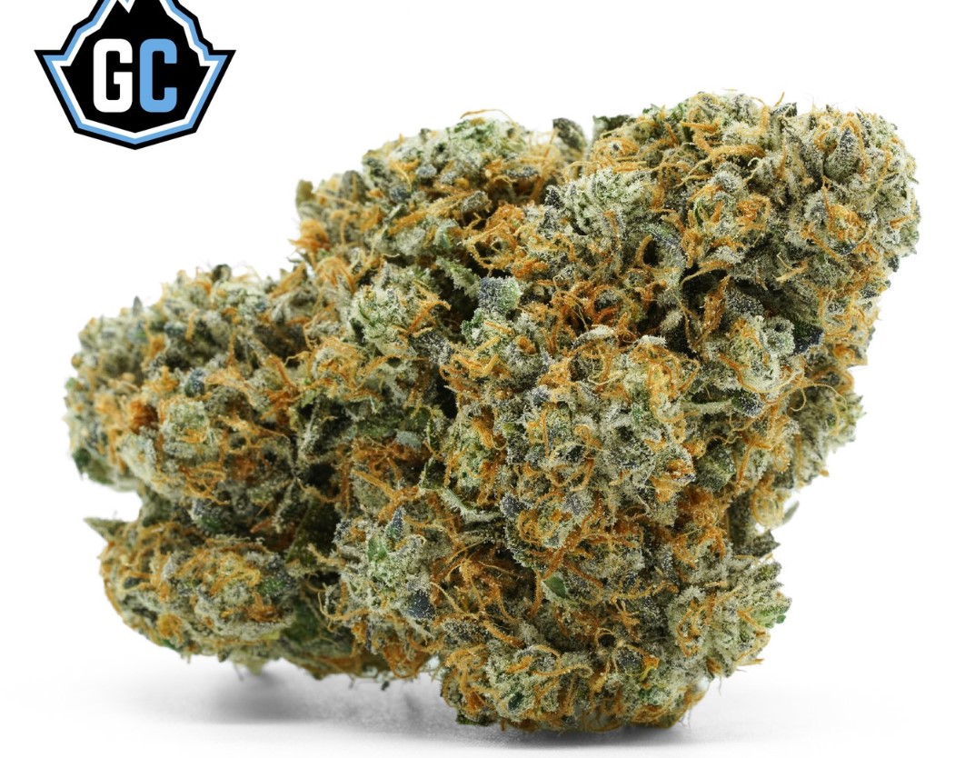Blast Chiller 5g