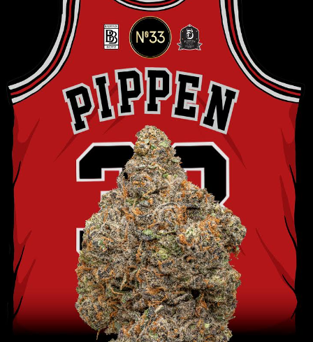 BACKPACK BOYZ SCOTTIE PIPPIN PREPACK 3.5G | Premium Cannabis at Buchanan, MI