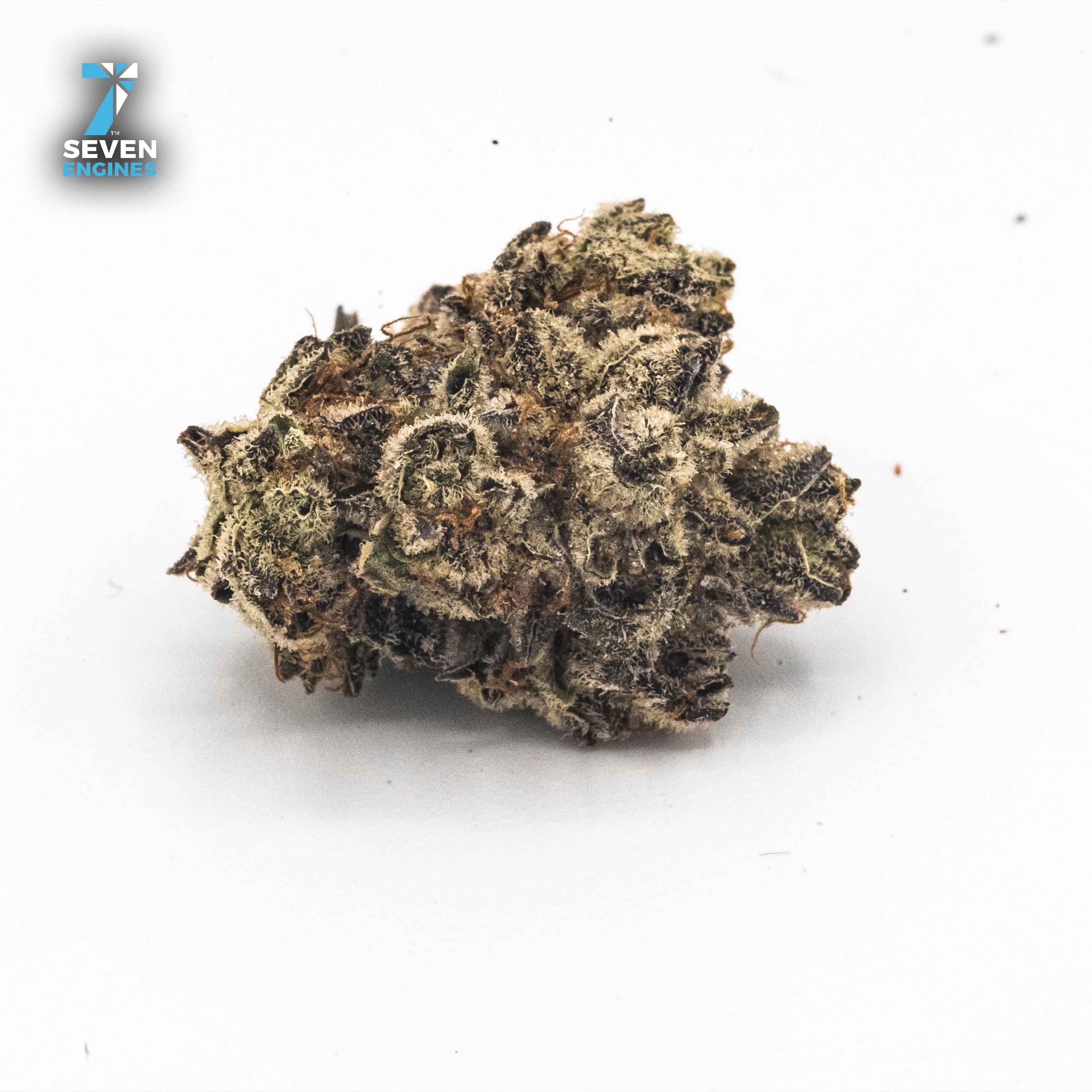 ORBEOZ* 3.5G