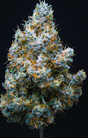 LILAC COOKIES 3.5G