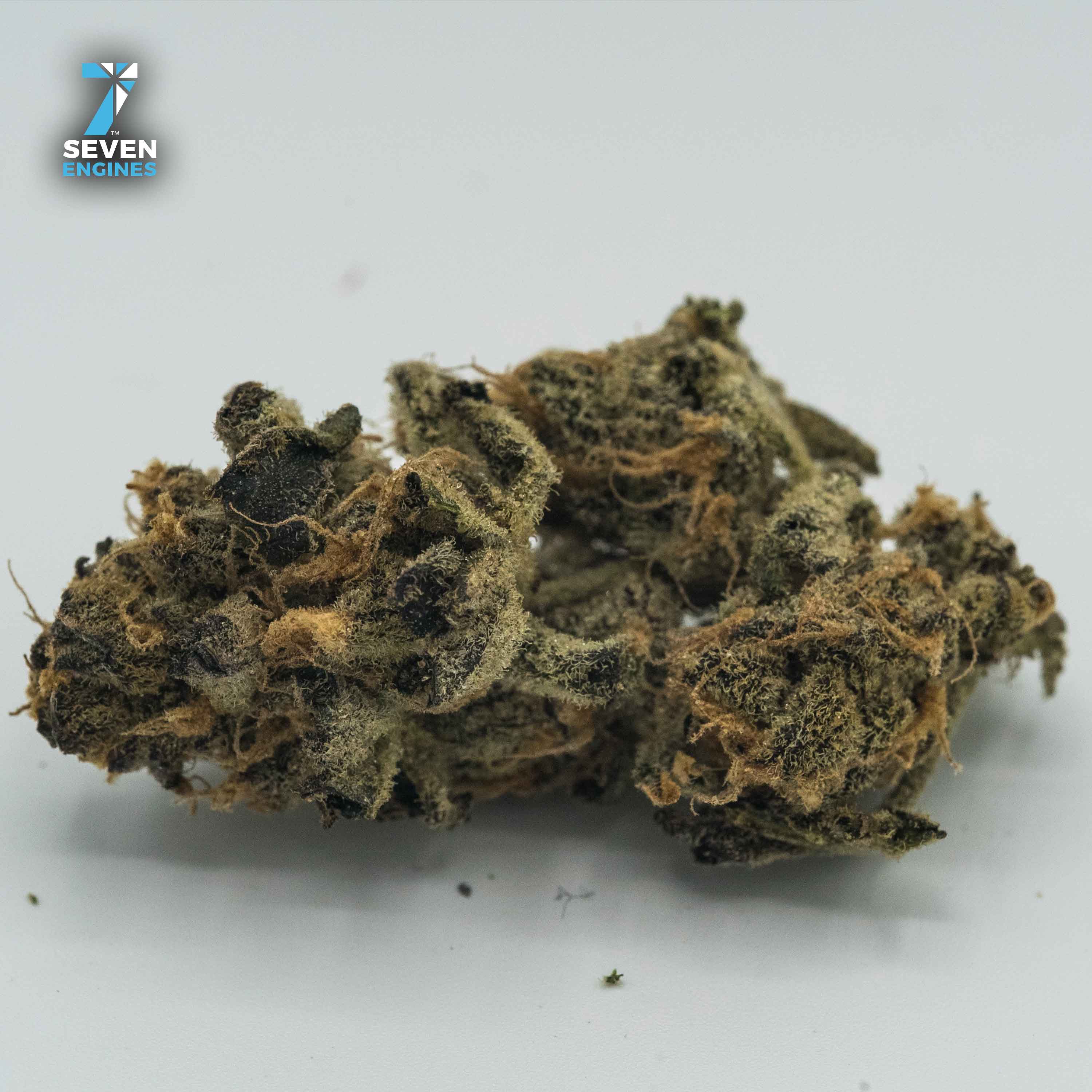 TROPICANA PUNCH #4 1/8TH