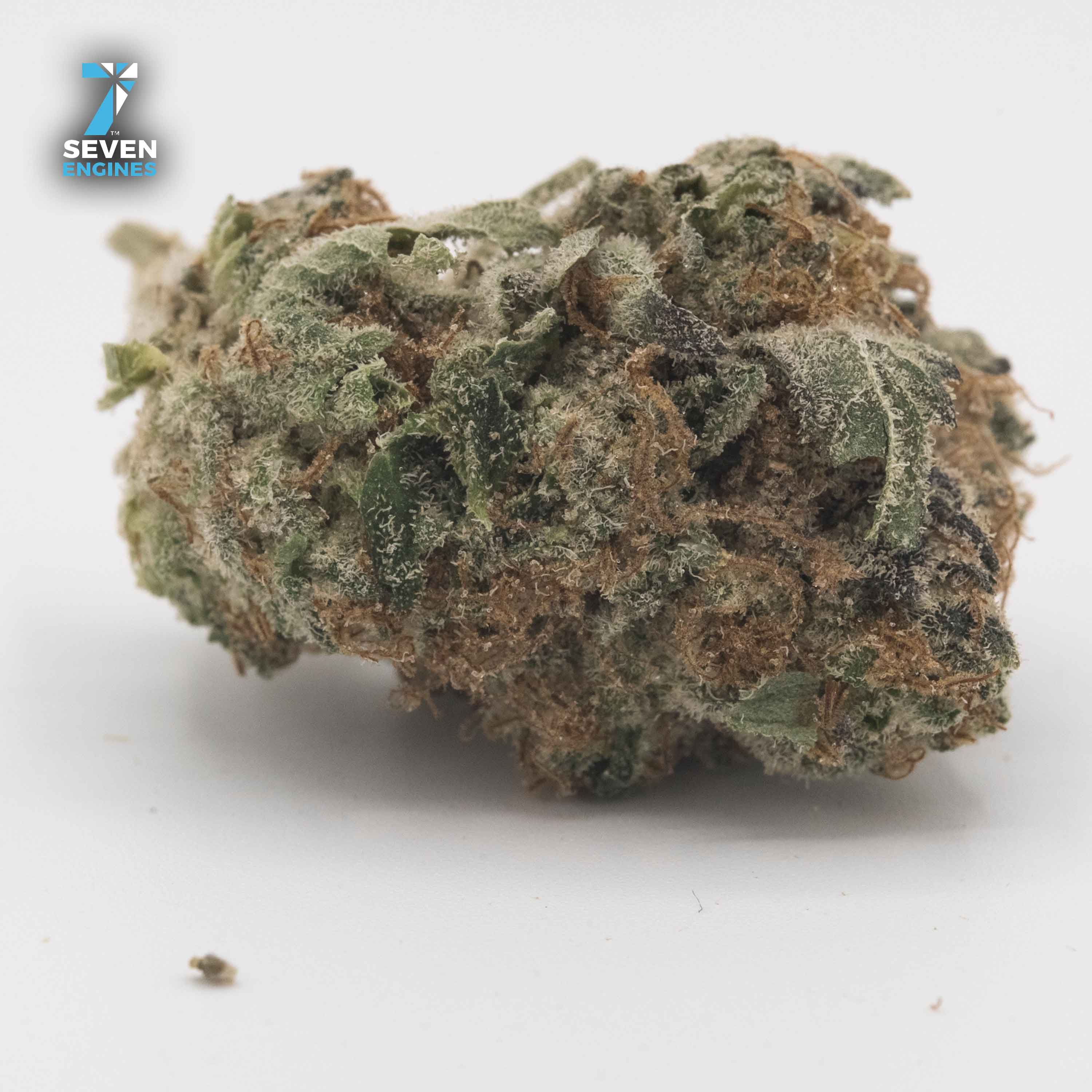 SCOOBY CAKES 1/8TH