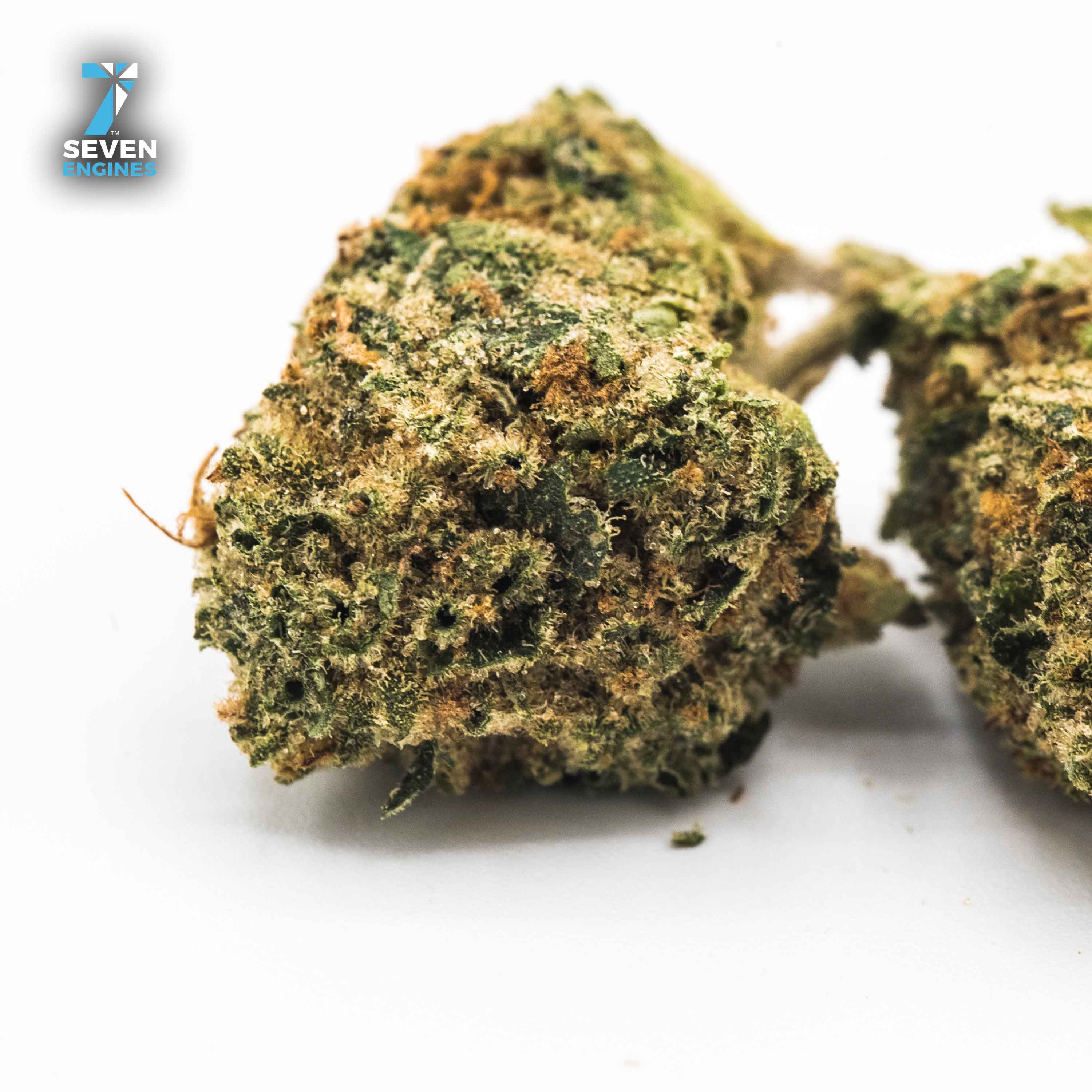 WIFI OG 1/2 OUNCE