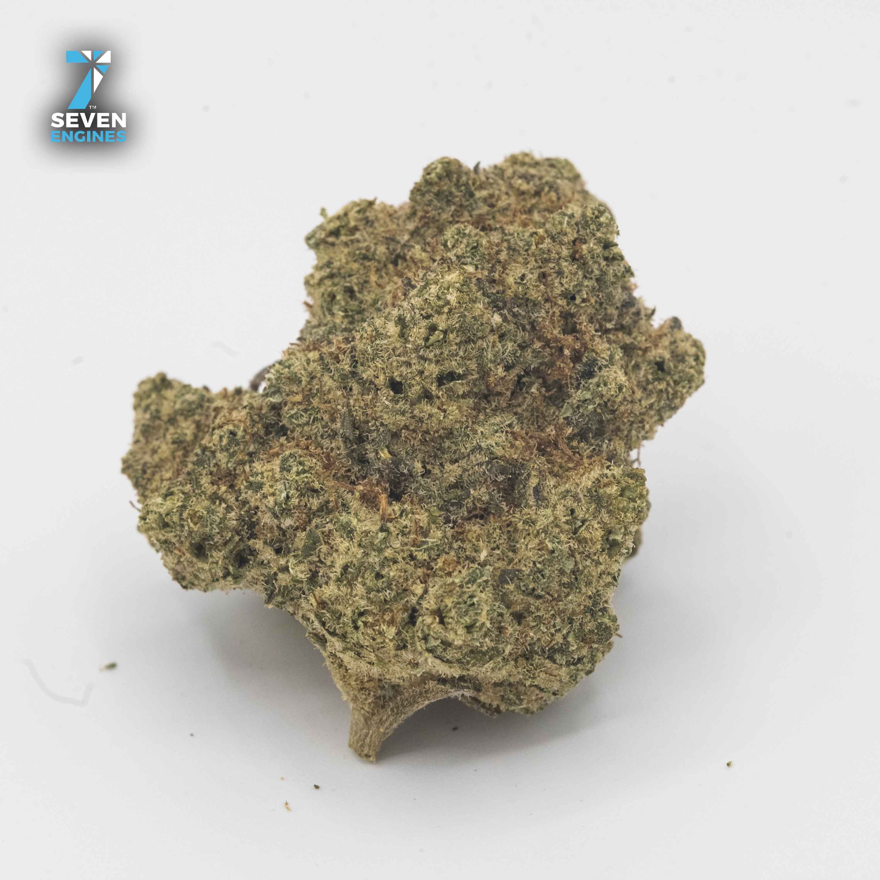 GELATO CONE 1/8TH