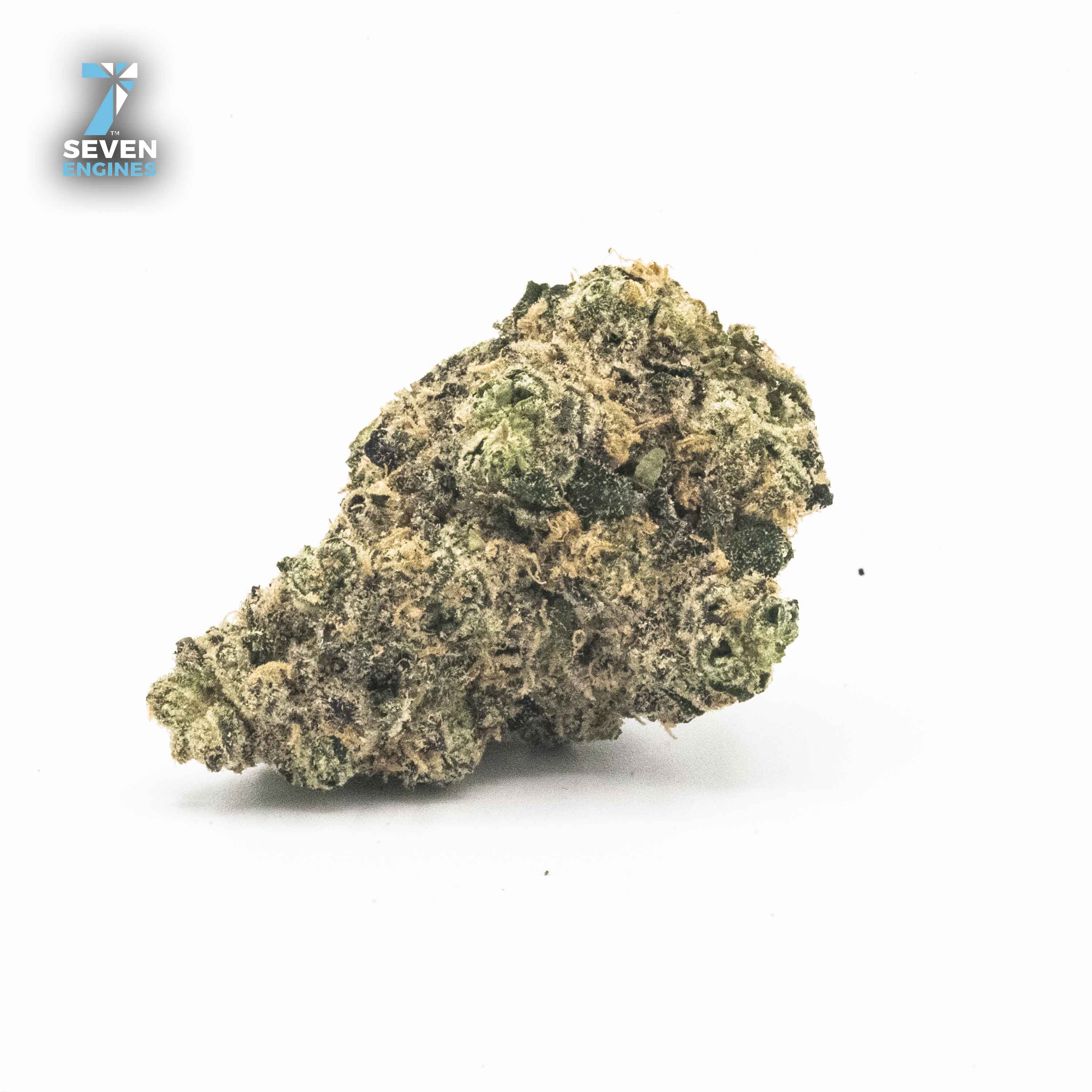 SPRITZER 3.5G