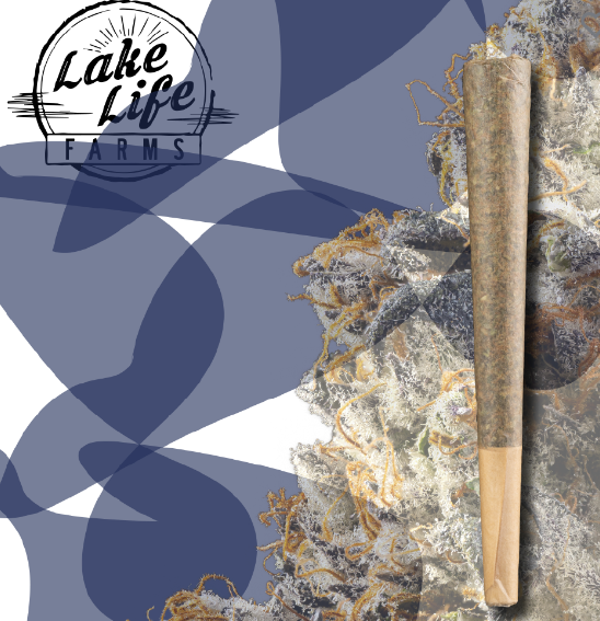 DOUBLE BAKED CAKE PREROLL 1G