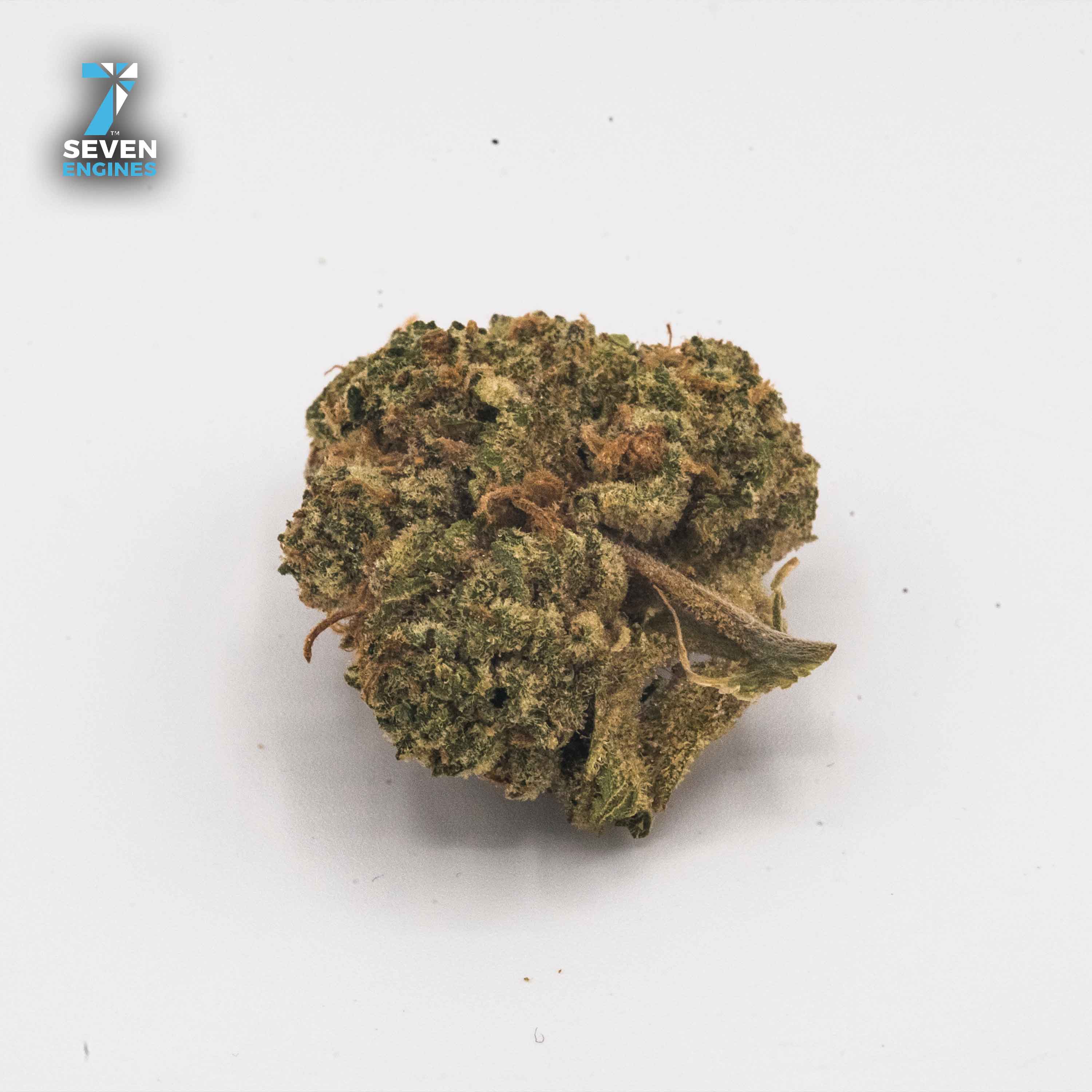 WATERMELON GELATO 1/2 OUNCE