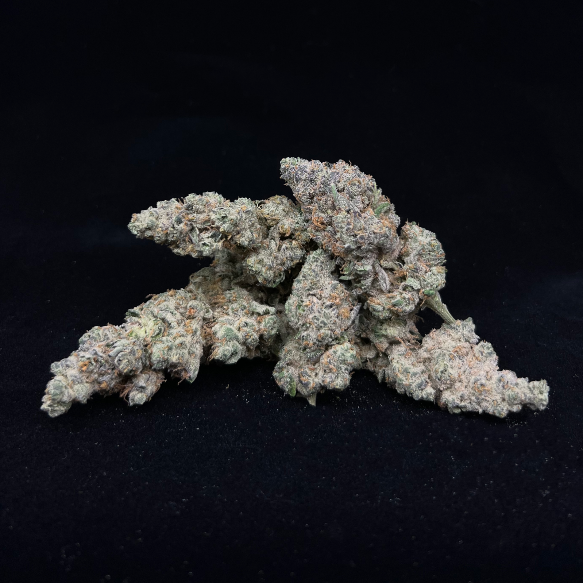 DIREWOLF 3.5G