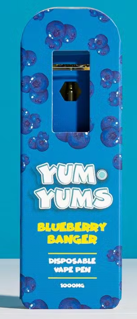 YUMYUM BLUEBERRY BANGER DISPOSABLE 1G