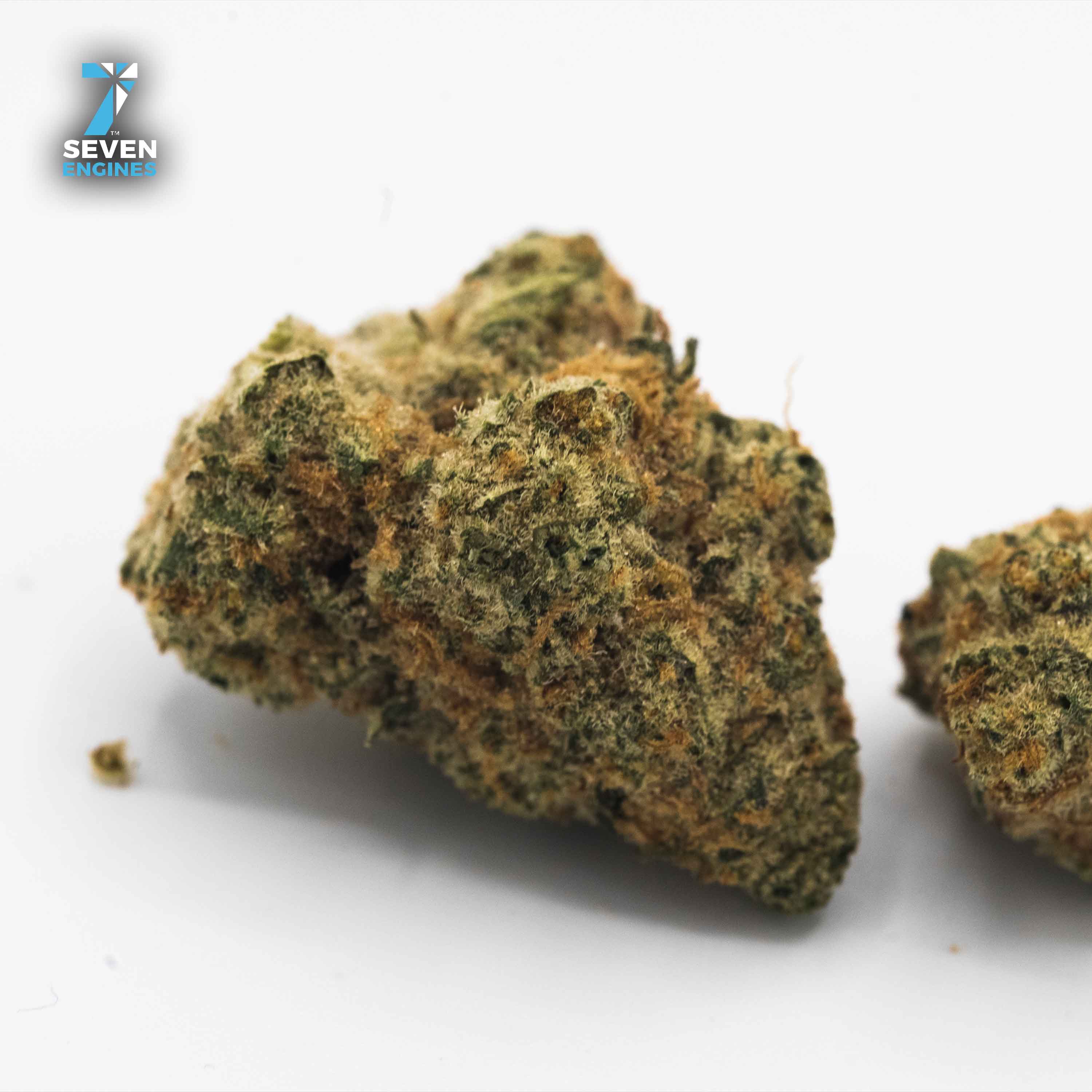 WHITE SUPER SKUNK SMALLS BULK BAG