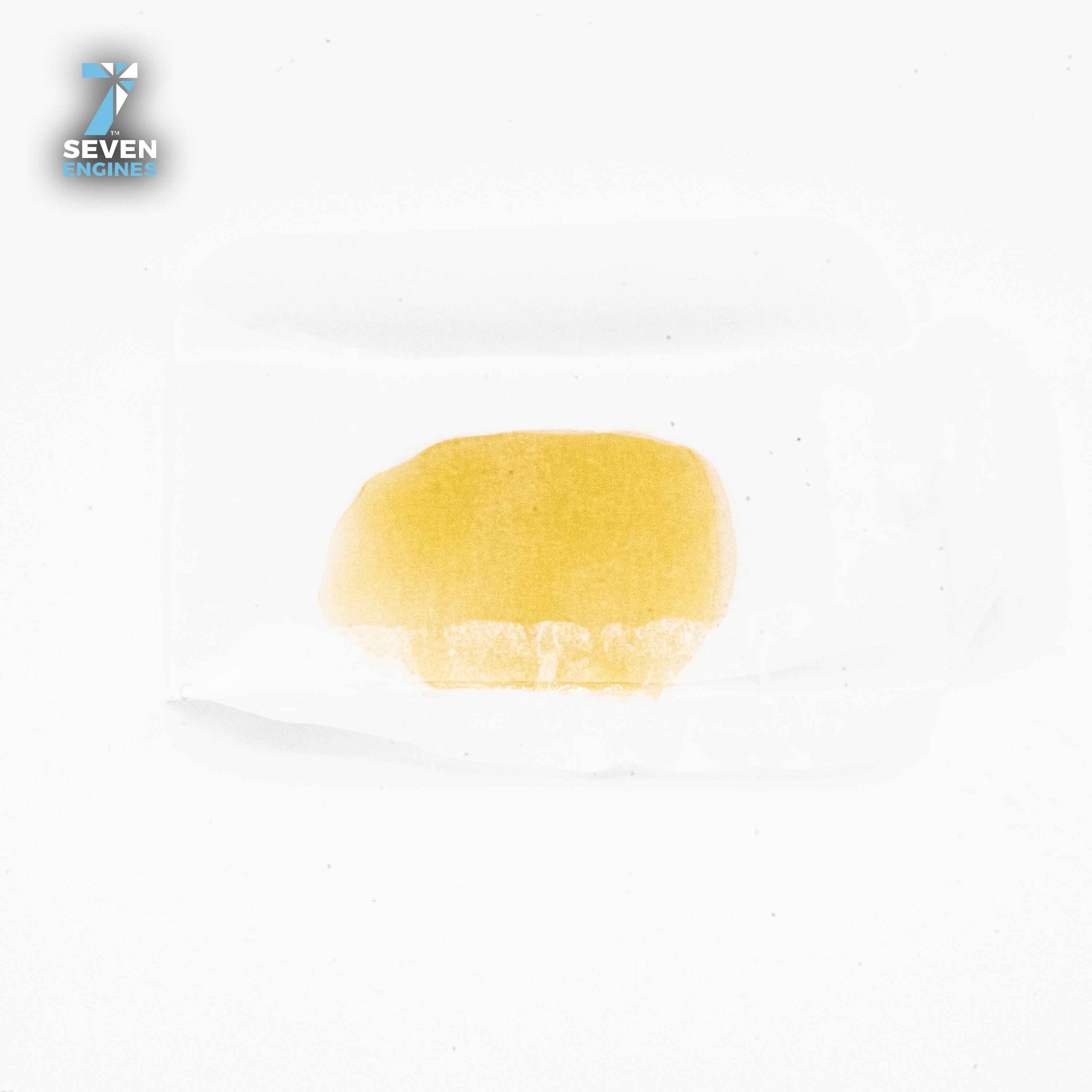 CALIFORNIA DREAM SHATTER