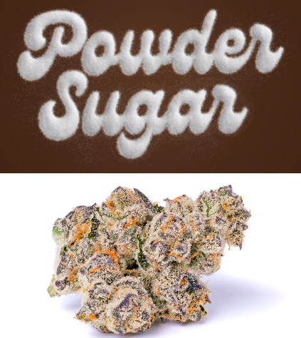 Powdered Sugar 3.5g